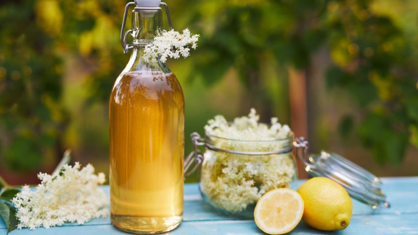 Bezgov sirup nas vabi, da se ponovno povežemo z modrostjo narave