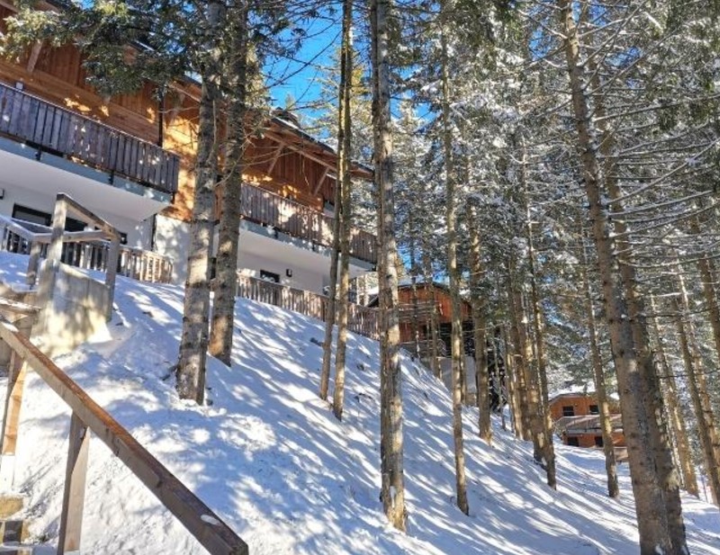 Apartmaji Golte - okolica